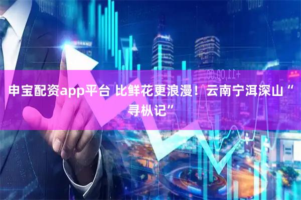 申宝配资app平台 比鲜花更浪漫！云南宁洱深山“寻枞记”