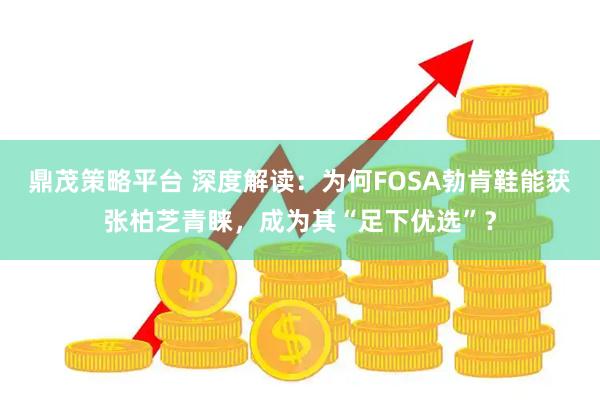 鼎茂策略平台 深度解读：为何FOSA勃肯鞋能获张柏芝青睐，成为其“足下优选”？
