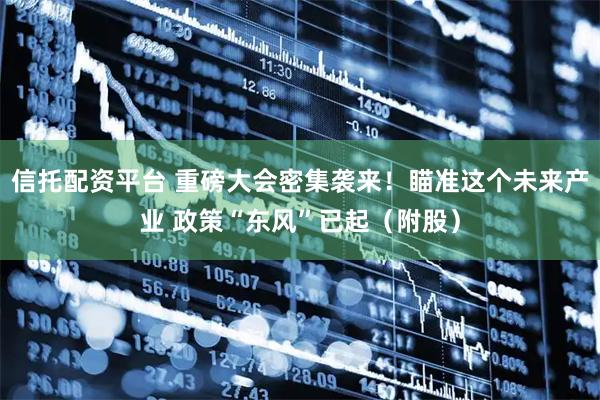 信托配资平台 重磅大会密集袭来！瞄准这个未来产业 政策“东风”已起（附股）