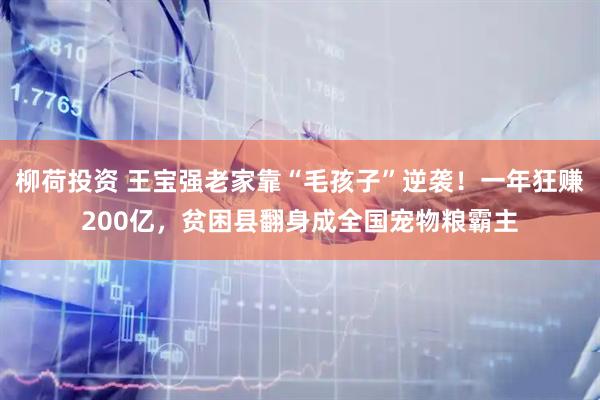 柳荷投资 王宝强老家靠“毛孩子”逆袭！一年狂赚200亿，贫困县翻身成全国宠物粮霸主